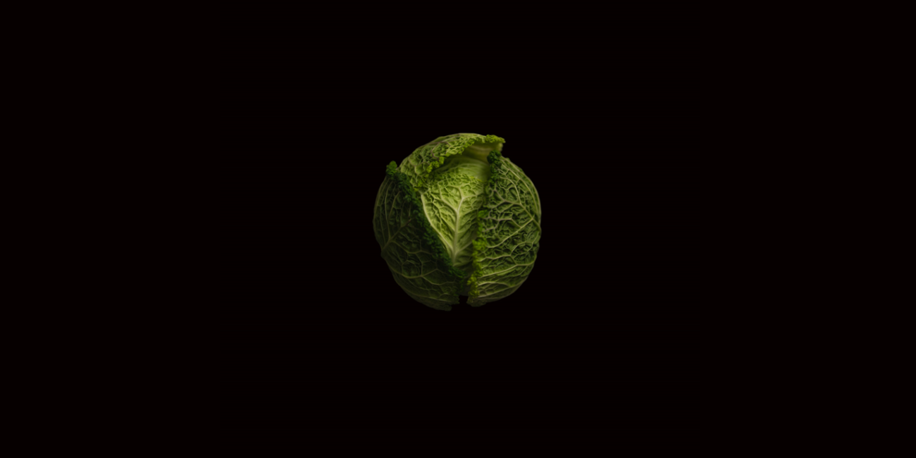Recipes for a greener planet, a cookbook by Logivity for sustainable logistics