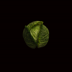 Recipes for a greener planet, a cookbook by Logivity for sustainable logistics