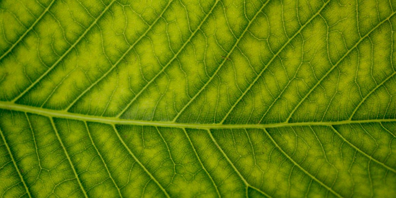 1M+ shipments by Logivity - a milestone and catalyst for tomorrow